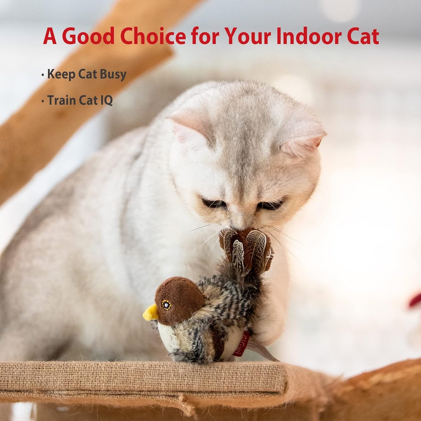 Chirping Bird Cat Toy Set, Interactive Chasing Toy for Indoor Cat, Motion Activated Kitten Play Toys, Squeaky Cats Animal Feather Toy for All Breeds Cats Kicker